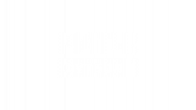 МАТЧ! Футбол 1