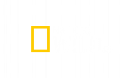 Nat Geo Wild HD