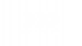 Наше новое кино