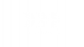 Индийское кино