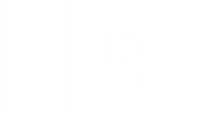 Родное кино